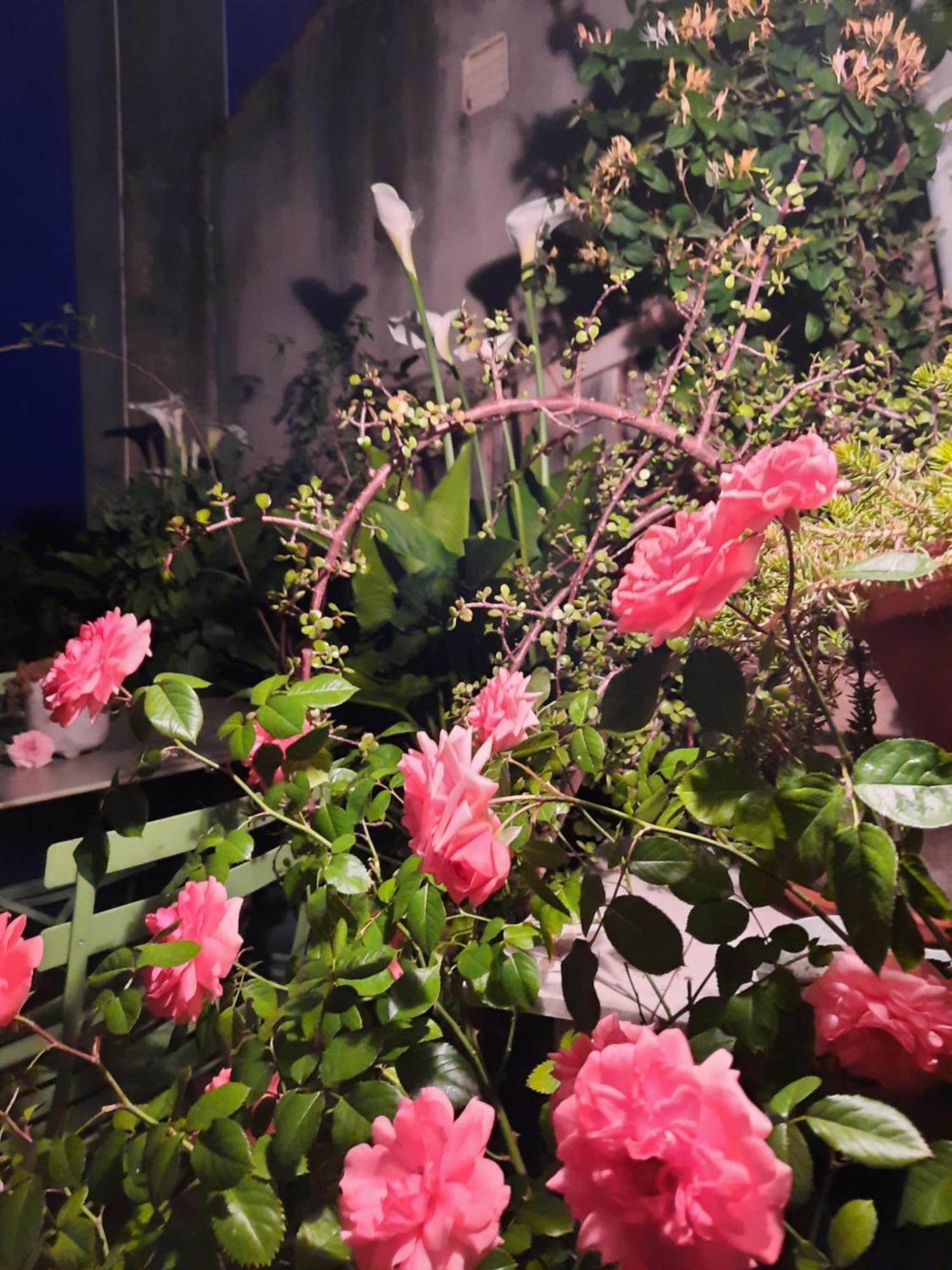Terra-Crystal Apartment Rochefort  Ngoại thất bức ảnh